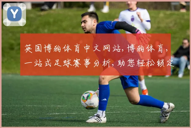 英国博狗体育中文网站,博狗体育,一站式足球赛事分析,助您轻松锁定心仪战队,洞察赛事先机