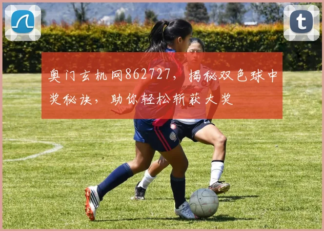 奥门玄机网862727，揭秘双色球中奖秘诀，助你轻松斩获大奖