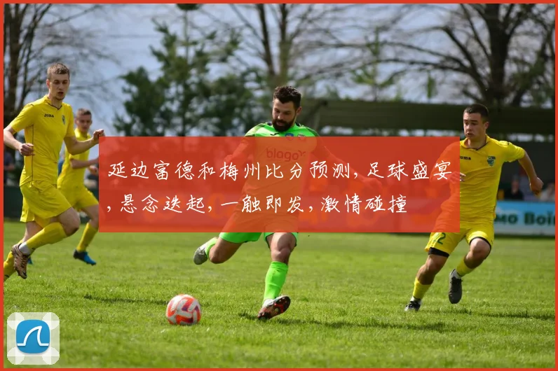 延边富德和梅州比分预测,足球盛宴,悬念迭起,一触即发,激情碰撞