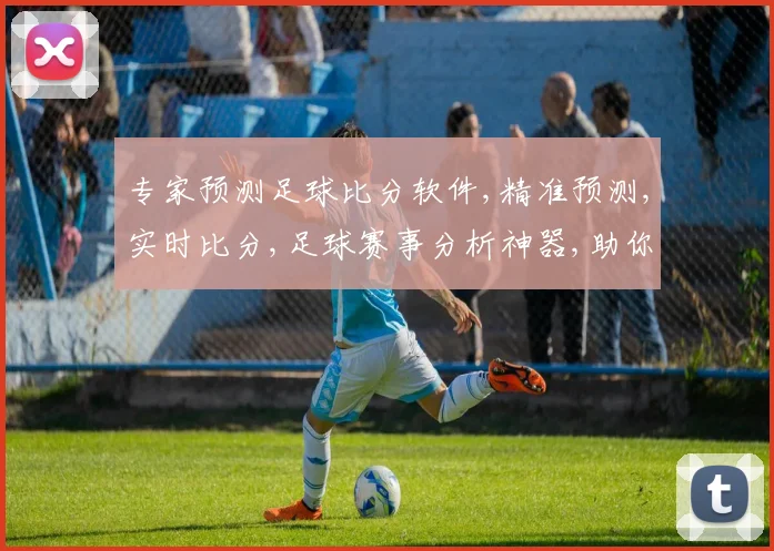 专家预测足球比分软件,精准预测,实时比分,足球赛事分析神器,助你一臂之力,洞察球场风云。